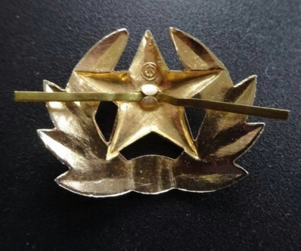 Hammer und Sichel Emblem